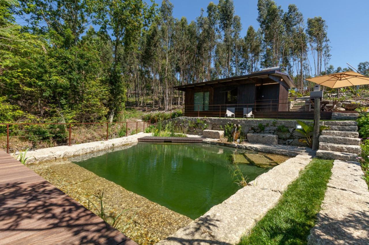 Villa Casa Do Monte Da Veiga - Minho'S Guest Póvoa de Lanhoso Exterior foto