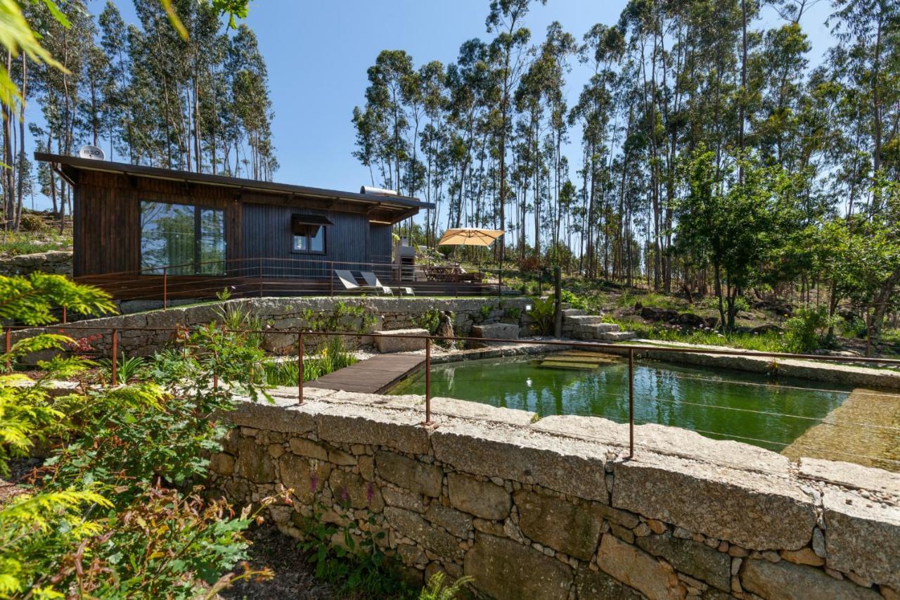 Villa Casa Do Monte Da Veiga - Minho'S Guest Póvoa de Lanhoso Exterior foto
